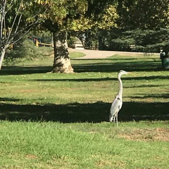 Meet your Posher, Erik - Picture 1 of 1